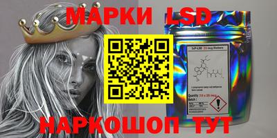 МДПВ Волгодонск