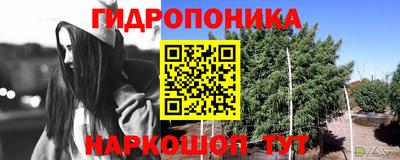 МДПВ Волгодонск