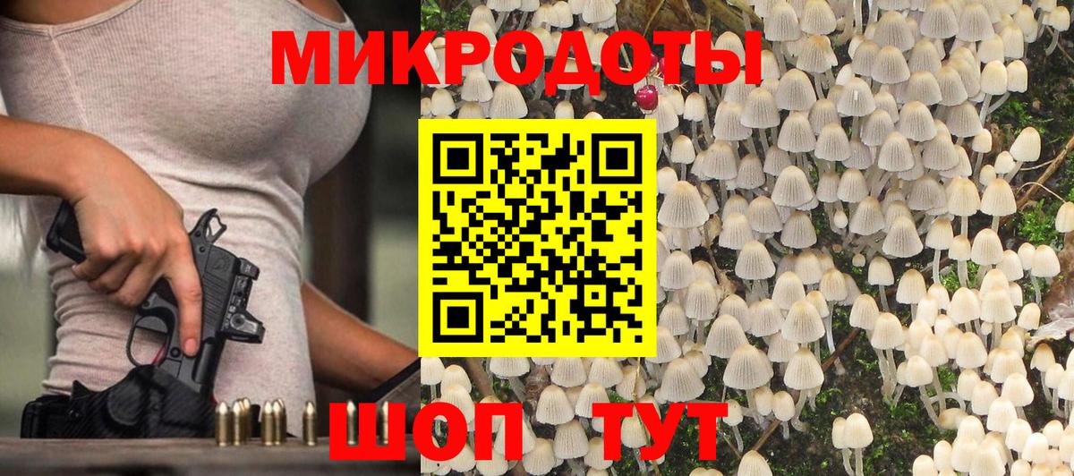 Псилоцибиновые грибы Psilocybe  Вход с VPN  Кудымкар 